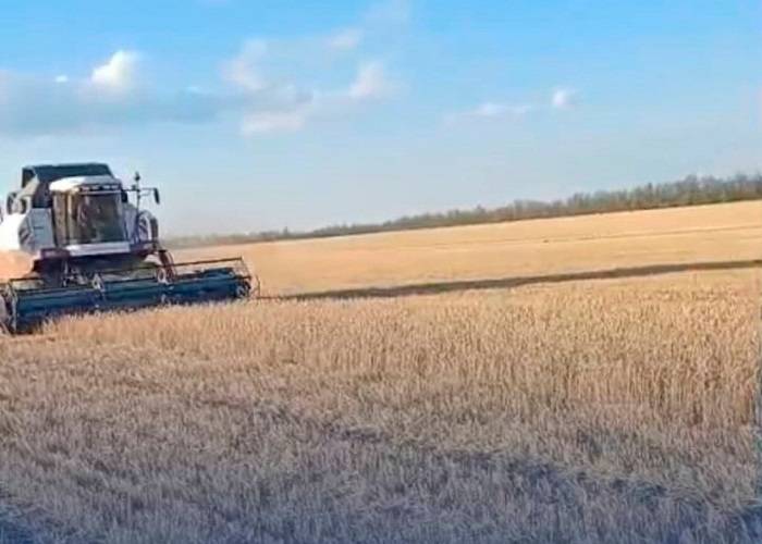 Выживут ли аграрии после двух неурожайных лет подряд?