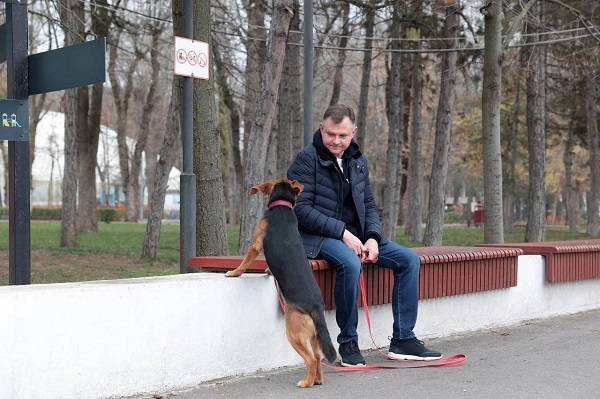 Губернатор Ростовской области Юрий Слюсарь рассказал о первой прогулке с собакой из приюта