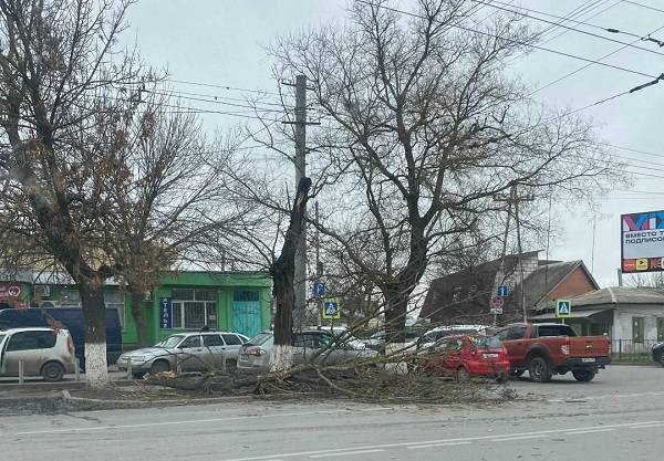 Сильный ветер в Таганроге нарушил работу городской инфраструктуры