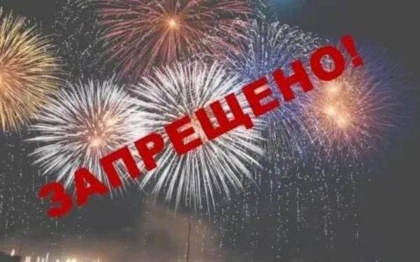 Глава Таганрога призвала граждан сообщать о фактах запуска пиротехники