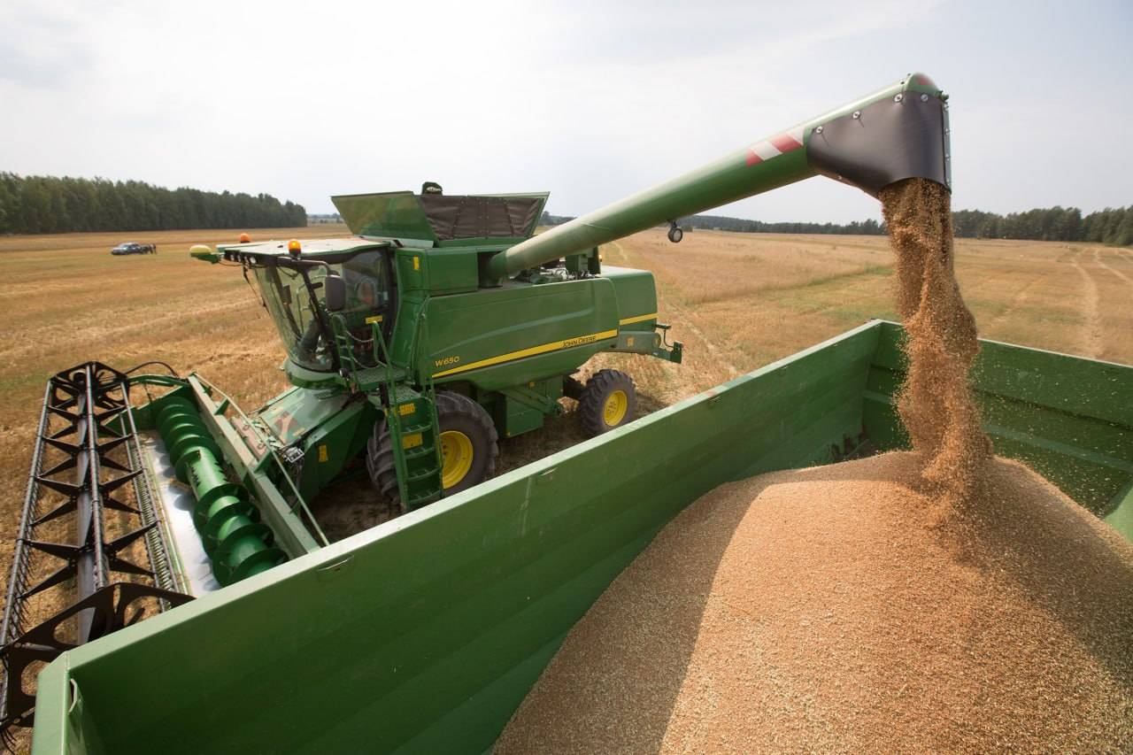 Экспорт зерновых из Ростовской области за год сократился на 13%