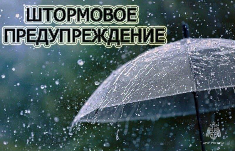 Сильный ветер, мокрый снег, гололед: в Ростовской области объявлено штормовое предупреждение
